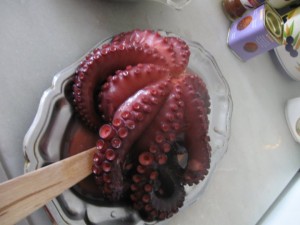 Pulpo