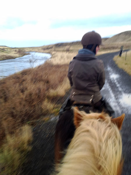 Horse Riding Iceland